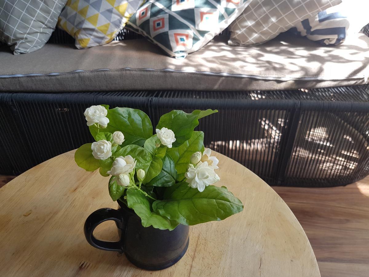 نها ترانج La La House Homestay المظهر الخارجي الصورة