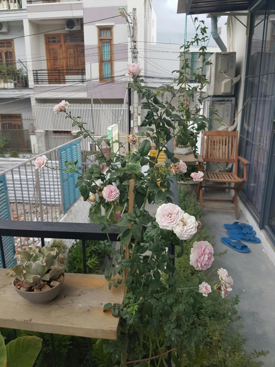 نها ترانج La La House Homestay المظهر الخارجي الصورة