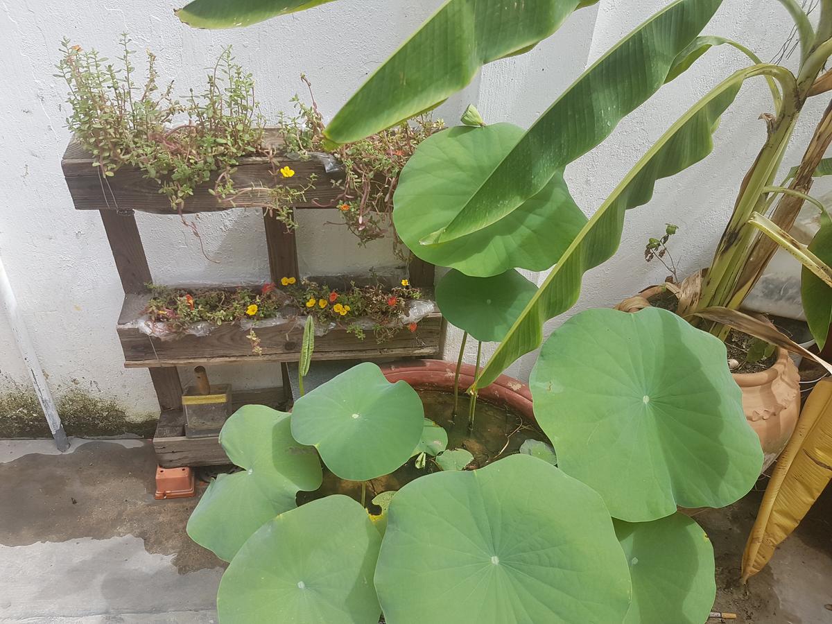 نها ترانج La La House Homestay المظهر الخارجي الصورة