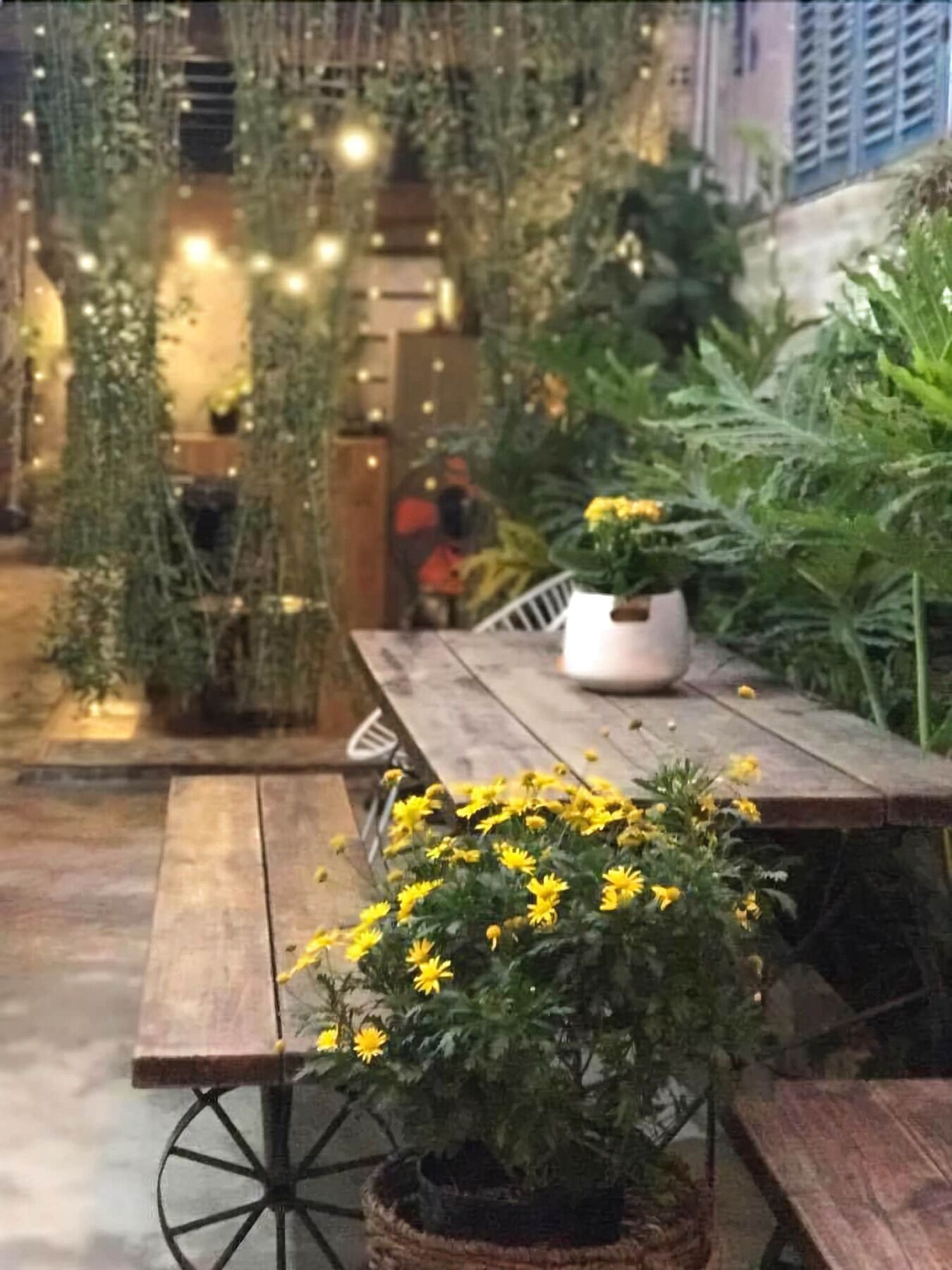 نها ترانج La La House Homestay المظهر الخارجي الصورة